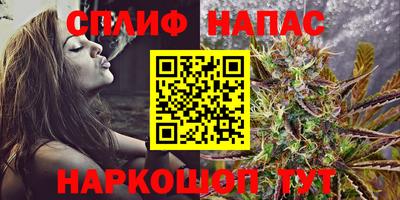 МДПВ Будённовск