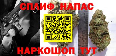 МДПВ Будённовск
