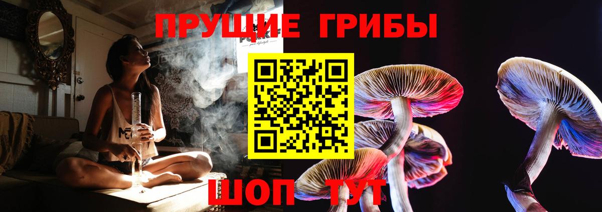 Галлюциногенные грибы Psilocybine cubensis Ливны