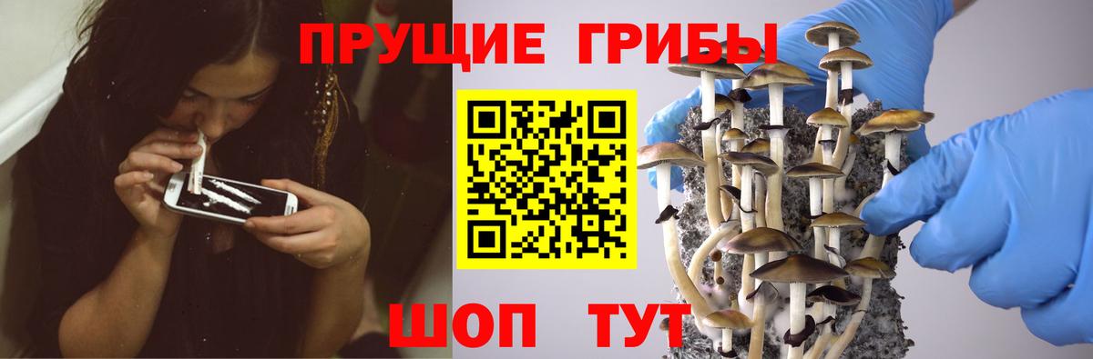 Ливны  Псилоцибиновые грибы прущие грибы  Вход с VPN 